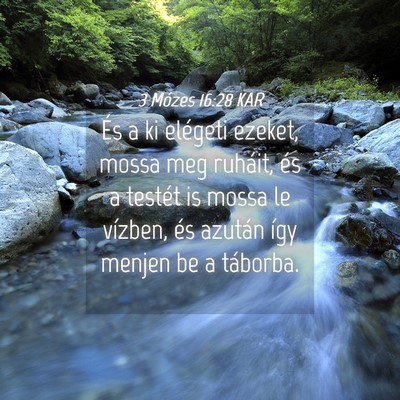 Picture 04 - 3 Mózes 16:28 KAR - És a ki elégeti ezeket, mossa meg ruháit, és - Bible Verse Picture