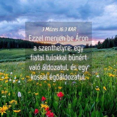 Picture 04 - 3 Mózes 16:3 KAR - Ezzel menjen be Áron a szenthelyre: egy fiatal - Bible Verse Picture