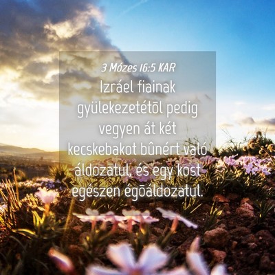 Picture 04 - 3 Mózes 16:5 KAR - Izráel fiainak gyülekezetétõl pedig vegyen - Bible Verse Picture