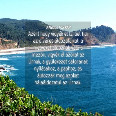 Picture 04 - 3 Mózes 17:5 KAR - Azért hogy vigyék el Izráel fiai az õ véres - Bible Verse Picture