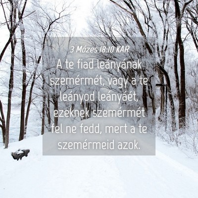 Picture 04 - 3 Mózes 18:10 KAR - A te fiad leányának szemérmét, vagy a te - Bible Verse Picture