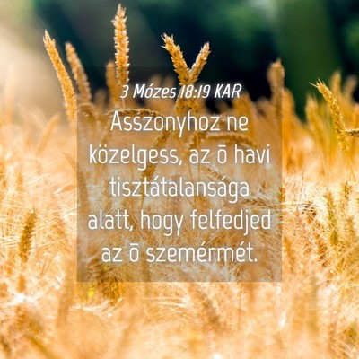 Picture 04 - 3 Mózes 18:19 KAR - Asszonyhoz ne közelgess, az õ havi - Bible Verse Picture