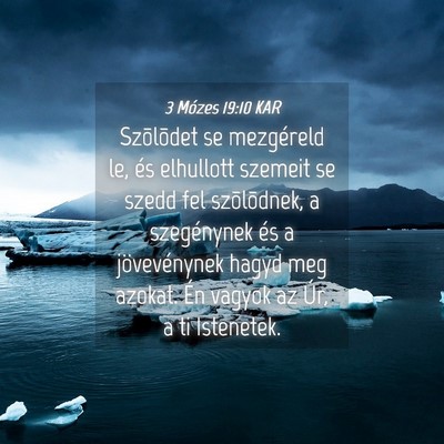 Picture 04 - 3 Mózes 19:10 KAR - Szõlõdet se mezgéreld le, és elhullott - Bible Verse Picture