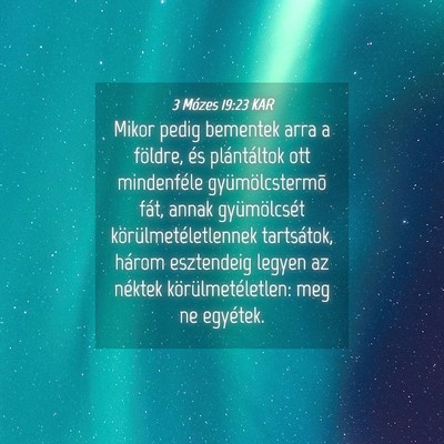 Picture 04 - 3 Mózes 19:23 KAR - Mikor pedig bementek arra a földre, és - Bible Verse Picture