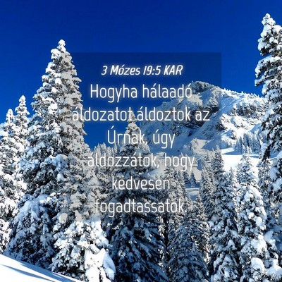 Picture 04 - 3 Mózes 19:5 KAR - Hogyha hálaadó áldozatot áldoztok az Úrnak, - Bible Verse Picture