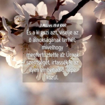 Picture 04 - 3 Mózes 19:8 KAR - És a ki eszi azt, viselje az õ álnokságának - Bible Verse Picture
