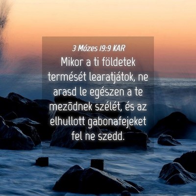 Picture 04 - 3 Mózes 19:9 KAR - Mikor a ti földetek termését learatjátok, ne - Bible Verse Picture
