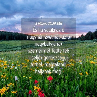 Picture 04 - 3 Mózes 20:20 KAR - És ha valaki az õ nagynénjével hál, az õ - Bible Verse Picture