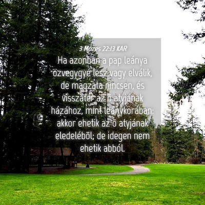 Picture 04 - 3 Mózes 22:13 KAR - Ha azonban a pap leánya özvegygyé lesz vagy - Bible Verse Picture