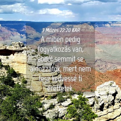 Picture 04 - 3 Mózes 22:20 KAR - A miben pedig fogyatkozás van, abból semmit se - Bible Verse Picture