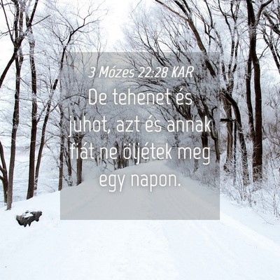 Picture 04 - 3 Mózes 22:28 KAR - De tehenet és juhot, azt és annak fiát ne - Bible Verse Picture