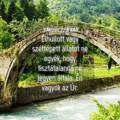 Picture 04 - 3 Mózes 22:8 KAR - Elhullott vagy széttépett állatot ne egyék, - Bible Verse Picture