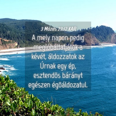 Picture 04 - 3 Mózes 23:12 KAR - A mely napon pedig meglóbáltatjátok a kévét, - Bible Verse Picture