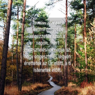 Picture 04 - 3 Mózes 23:28 KAR - Semmi dolgot ne végezzetek azon a napon, mert - Bible Verse Picture