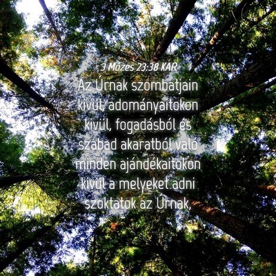 Picture 04 - 3 Mózes 23:38 KAR - Az Úrnak szombatjain kivül, adományaitokon - Bible Verse Picture