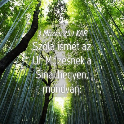Picture 04 - 3 Mózes 25:1 KAR - Szóla ismét az Úr Mózesnek a Sinai hegyen, - Bible Verse Picture