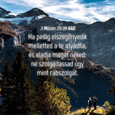 Picture 04 - 3 Mózes 25:39 KAR - Ha pedig elszegényedik melletted a te atyádfia, - Bible Verse Picture