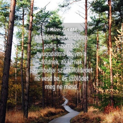 Picture 04 - 3 Mózes 25:4 KAR - A hetedik esztendõben pedig szombati nyugodalma - Bible Verse Picture