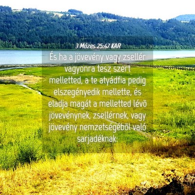 Picture 04 - 3 Mózes 25:47 KAR - És ha a jövevény vagy zsellér vagyonra tesz - Bible Verse Picture