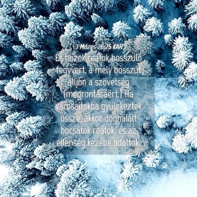 Picture 04 - 3 Mózes 26:25 KAR - És hozok reátok bosszuló fegyvert, a mely - Bible Verse Picture