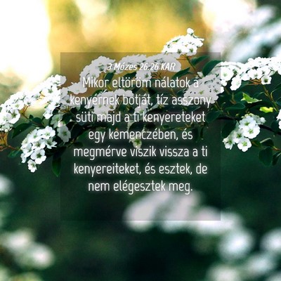 Picture 04 - 3 Mózes 26:26 KAR - Mikor eltöröm nálatok a kenyérnek botját, - Bible Verse Picture