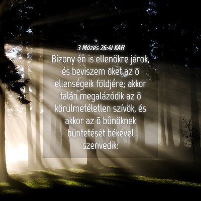 Picture 04 - 3 Mózes 26:41 KAR - Bizony én is ellenökre járok, és beviszem - Bible Verse Picture