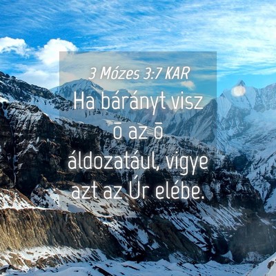 Picture 04 - 3 Mózes 3:7 KAR - Ha bárányt visz õ az õ áldozatául, vigye - Bible Verse Picture