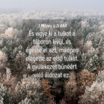 Picture 04 - 3 Mózes 4:21 KAR - És vigye ki a tulkot a táboron kivül, és - Bible Verse Picture