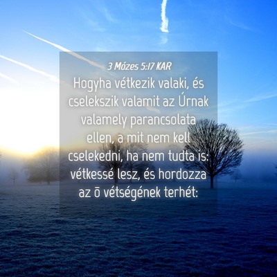 Picture 04 - 3 Mózes 5:17 KAR - Hogyha vétkezik valaki, és cselekszik valamit - Bible Verse Picture