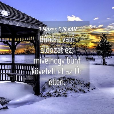 Picture 04 - 3 Mózes 5:19 KAR - Bûnért való áldozat ez, mivelhogy bûnt - Bible Verse Picture
