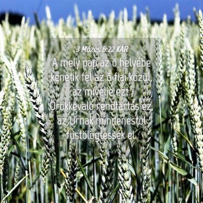 Picture 04 - 3 Mózes 6:22 KAR - A mely pap az õ helyébe kenetik fel az õ fiai - Bible Verse Picture