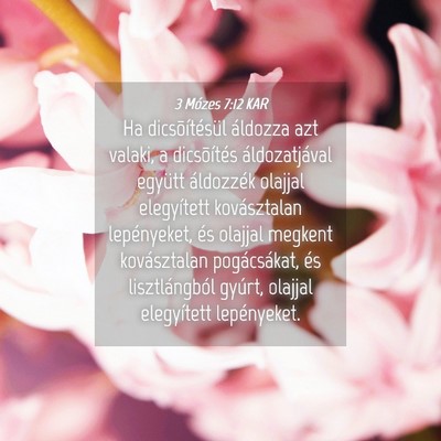 Picture 04 - 3 Mózes 7:12 KAR - Ha dicsõítésül áldozza azt valaki, a - Bible Verse Picture