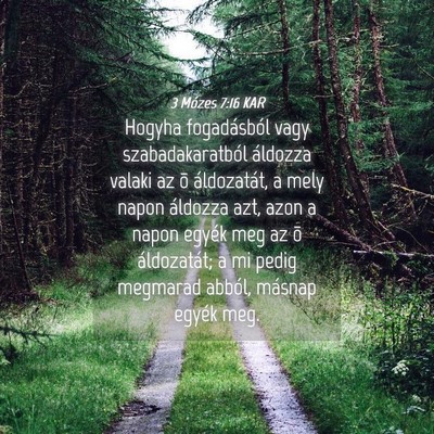 Picture 04 - 3 Mózes 7:16 KAR - Hogyha fogadásból vagy szabadakaratból - Bible Verse Picture