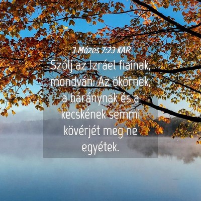 Picture 04 - 3 Mózes 7:23 KAR - Szólj az Izráel fiainak, mondván: Az - Bible Verse Picture