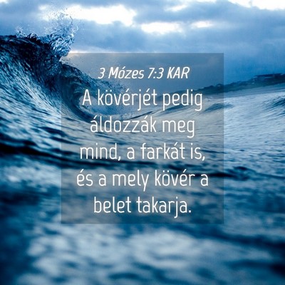 Picture 04 - 3 Mózes 7:3 KAR - A kövérjét pedig áldozzák meg mind, a - Bible Verse Picture
