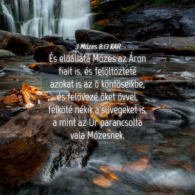 Picture 04 - 3 Mózes 8:13 KAR - És elõállatá Mózes az Áron fiait is, és - Bible Verse Picture