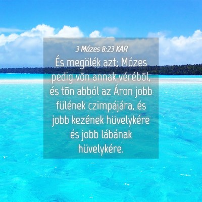 Picture 04 - 3 Mózes 8:23 KAR - És megölék azt; Mózes pedig võn annak - Bible Verse Picture