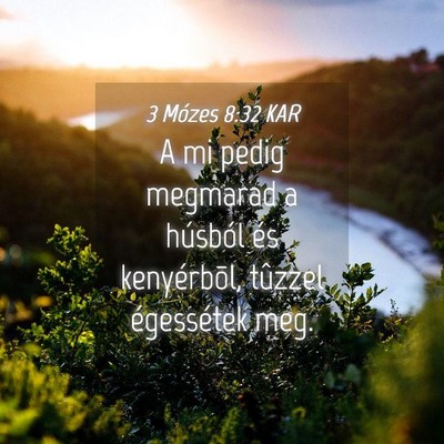 Picture 04 - 3 Mózes 8:32 KAR - A mi pedig megmarad a húsból és kenyérbõl, - Bible Verse Picture