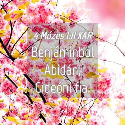 Picture 04 - 4 Mózes 1:11 KAR - Benjáminból Abidán, Gideóni - Bible Verse Picture
