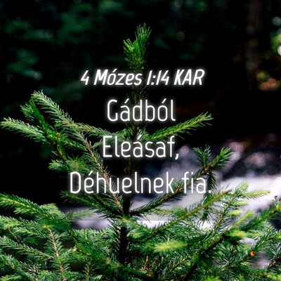 Picture 04 - 4 Mózes 1:14 KAR - Gádból Eleásaf, Déhuelnek - Bible Verse Picture