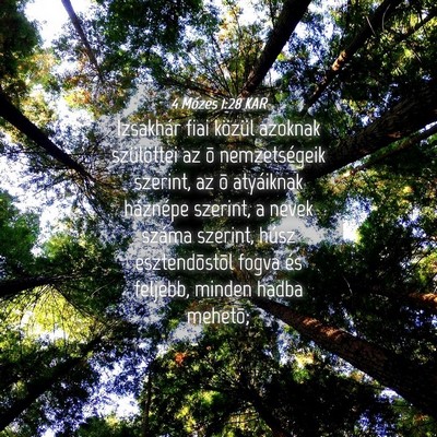 Picture 04 - 4 Mózes 1:28 KAR - Izsakhár fiai közül azoknak szülöttei az õ - Bible Verse Picture
