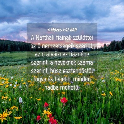 Picture 04 - 4 Mózes 1:42 KAR - A Nafthali fiainak szülöttei az õ - Bible Verse Picture