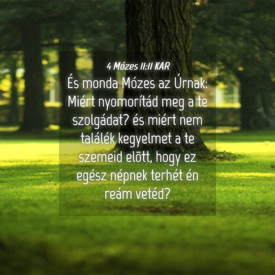 Picture 04 - 4 Mózes 11:11 KAR - És monda Mózes az Úrnak: Miért nyomorítád - Bible Verse Picture