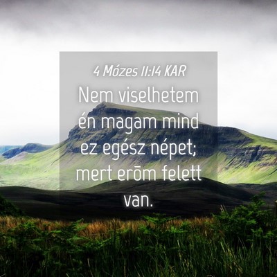 Picture 04 - 4 Mózes 11:14 KAR - Nem viselhetem én magam mind ez egész népet; - Bible Verse Picture