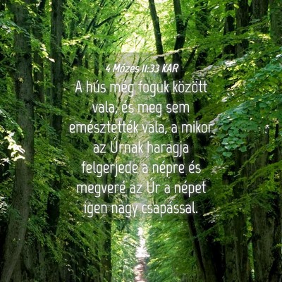 Picture 04 - 4 Mózes 11:33 KAR - A hús még foguk között vala, és meg sem - Bible Verse Picture