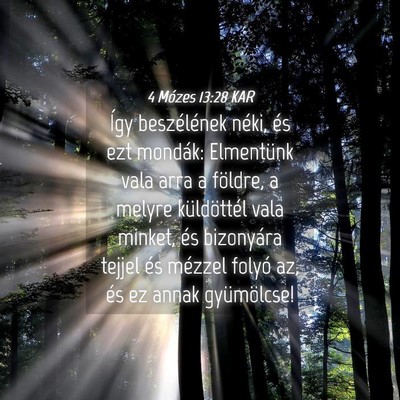 Picture 04 - 4 Mózes 13:28 KAR - Így beszélének néki, és ezt mondák: - Bible Verse Picture