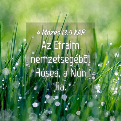 Picture 04 - 4 Mózes 13:9 KAR - Az Efraim nemzetségébõl Hósea, a Nún - Bible Verse Picture