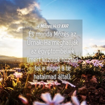 Picture 04 - 4 Mózes 14:13 KAR - És monda Mózes az Úrnak: Ha meghallják az - Bible Verse Picture