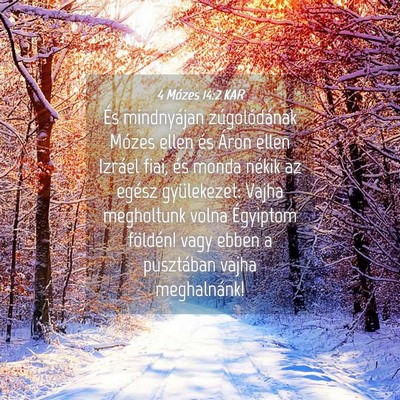 Picture 04 - 4 Mózes 14:2 KAR - És mindnyájan zúgolódának Mózes ellen és - Bible Verse Picture