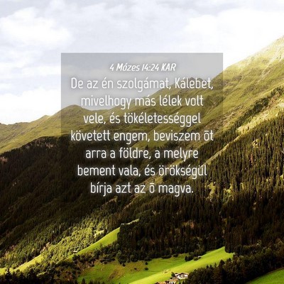 Picture 04 - 4 Mózes 14:24 KAR - De az én szolgámat, Kálebet, mivelhogy más - Bible Verse Picture